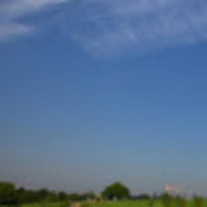 Meet your Posher, Noah